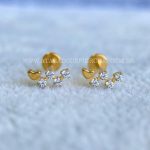 Labret Rosca Interna Titânio Cluster Zircônias