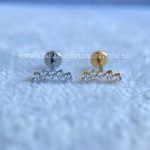 Labret Rosca Interna Titânio Cluster Zircônias