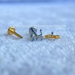 Labret Rosca Interna Titânio Gato - Imagem 3