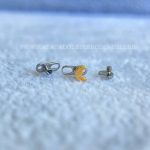 Kit Microdermal Titânio Topo Lua - Imagem 2