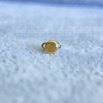 Kit Microdermal Titânio Topo Chapinha - Imagem 4