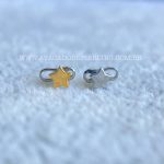 Kit Microdermal Titânio Estrela