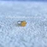 Kit Microdermal Titânio Estrela - Imagem 2