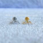 Labret Rosca Interna Titânio Raminho Zircônias