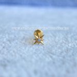Labret Rosca Interna Titânio Flor Zircônia