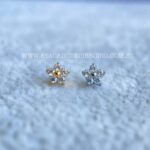 Topo Microdermal Titânio Zircônias