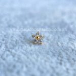 Topo Microdermal Titânio Zircônias - Imagem 2