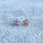 Topo Microdermal Titânio Zircônias Rosa